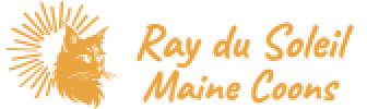 1000017587_preview_rev_1 (1)